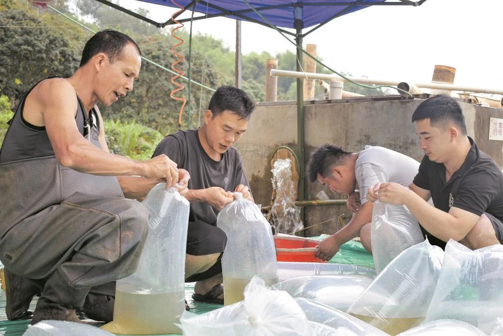 北京空运发新疆