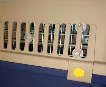 专门宠物托运的公司