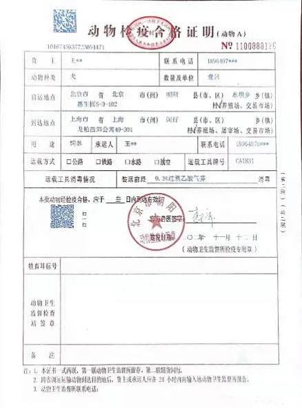 专门宠物托运的公司