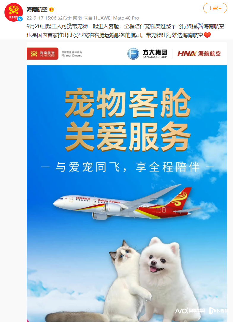 猫狗可进客舱！海航推人宠同舱背后：需诸多条件，有乘客担忧