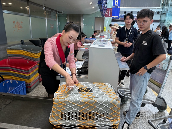 宠物托运公司哪个好