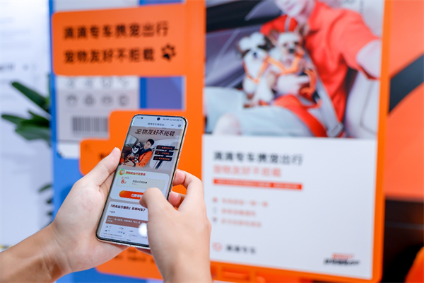 宠物托运平台哪个便宜