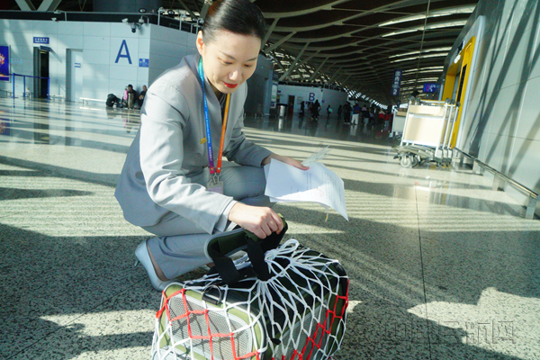 金鹏航空“宠物进客舱”服务新增7个站点