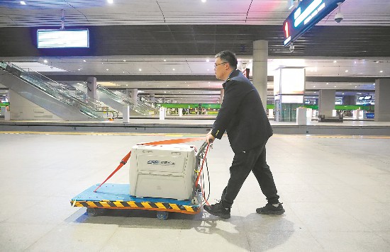 宠物也能坐高铁怎么看护？是否安全？记者探访