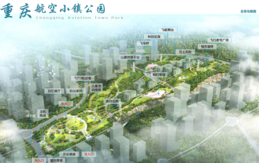 重庆国际空运公司