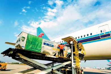 空运货查询