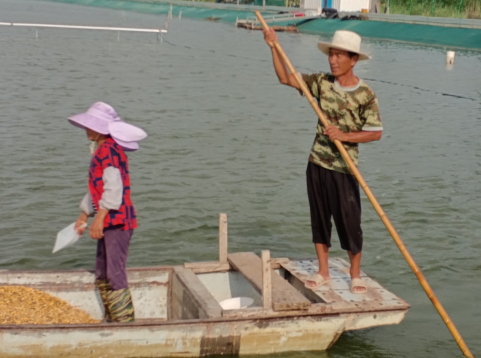国内水路陆路货物运输保险