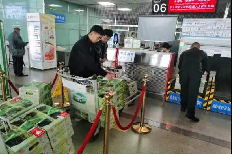 红酒空运运输