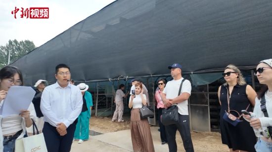 航空物流有哪些