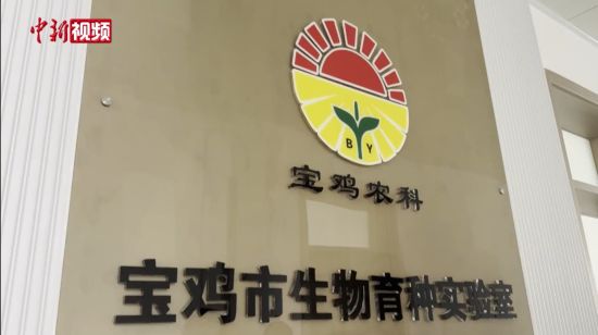 航空物流有哪些