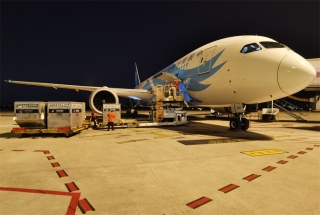 空运信息