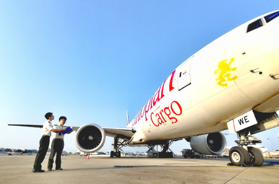 澳大利亚空运专线
