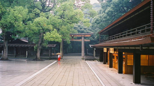 空运上海到日本