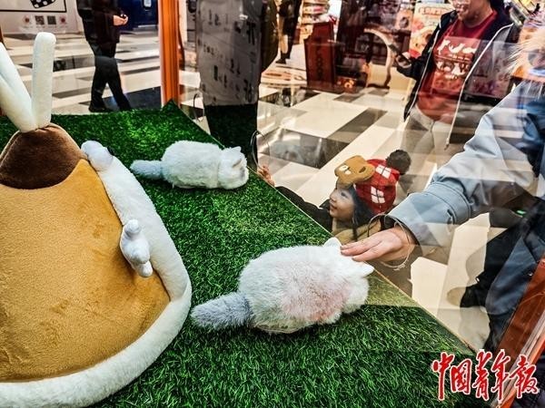 深圳市华强北货运